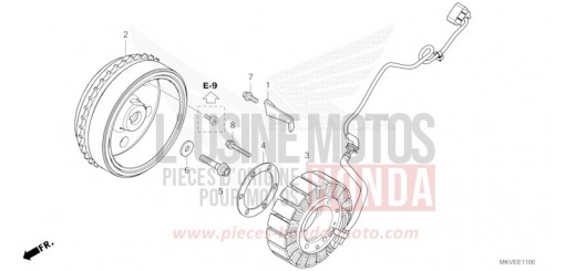 GENERATRICE NSS750S de 2025